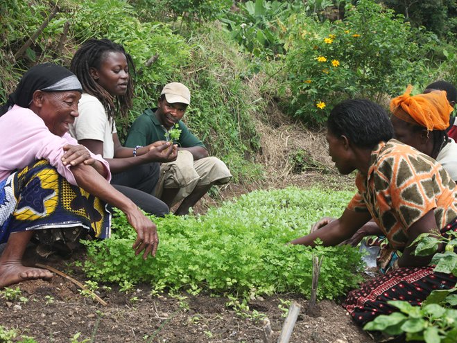 Janet Maro (2nd from left) agronomist and Sustainable Agriculture Tanzania project manager teaches her Bustani ya Tushikamane (Garden of Solidarity) group. In 2013 she trained some 2700 farmers, 46% of whom were women. Photo: Biovision